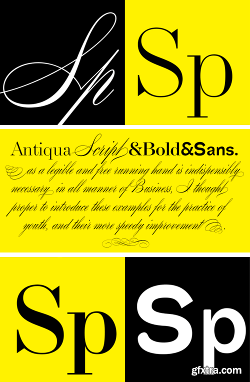 Splendid Quartett Font Family