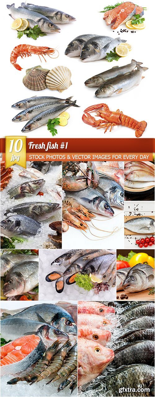 Fresh fish 1, 10 x UHQ JPEG