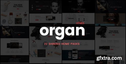 ThemeForest - Organ - Creative Multi-Purpose Business, Finance HTML5 Responsive Website Template 17356205