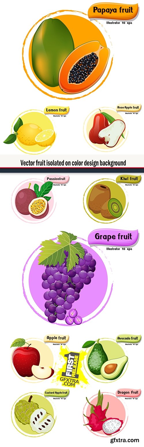 Vector fruit isolated on color design background