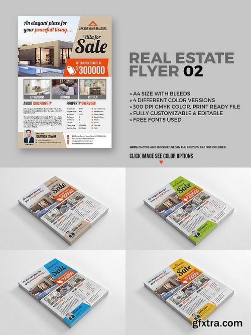 Real Estate Flyer 02