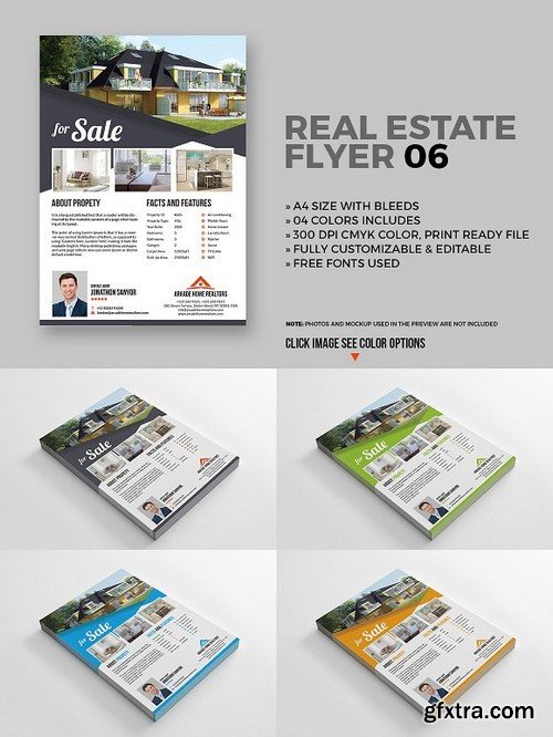 Real Estate Flyer 06