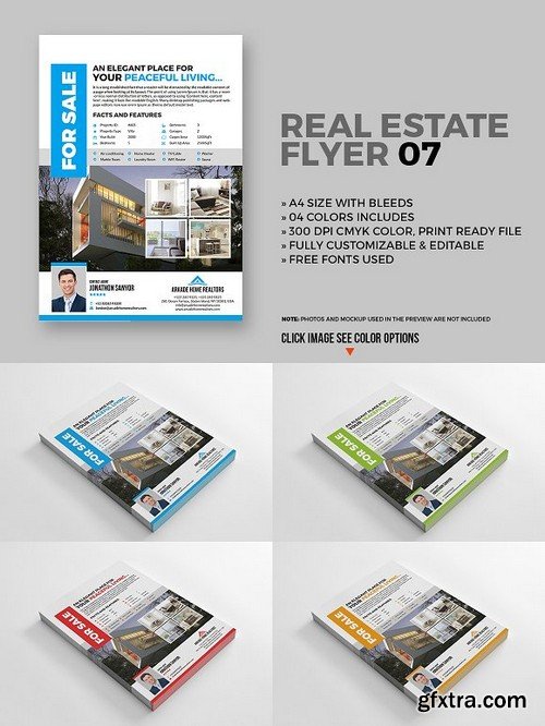 Real Estate Flyer 07