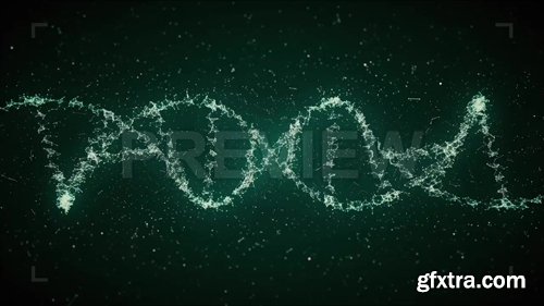 MA - Looped DNA Strands