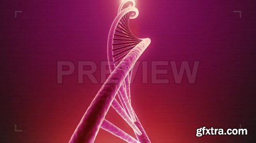 MA - Single Rotating DNA Loop