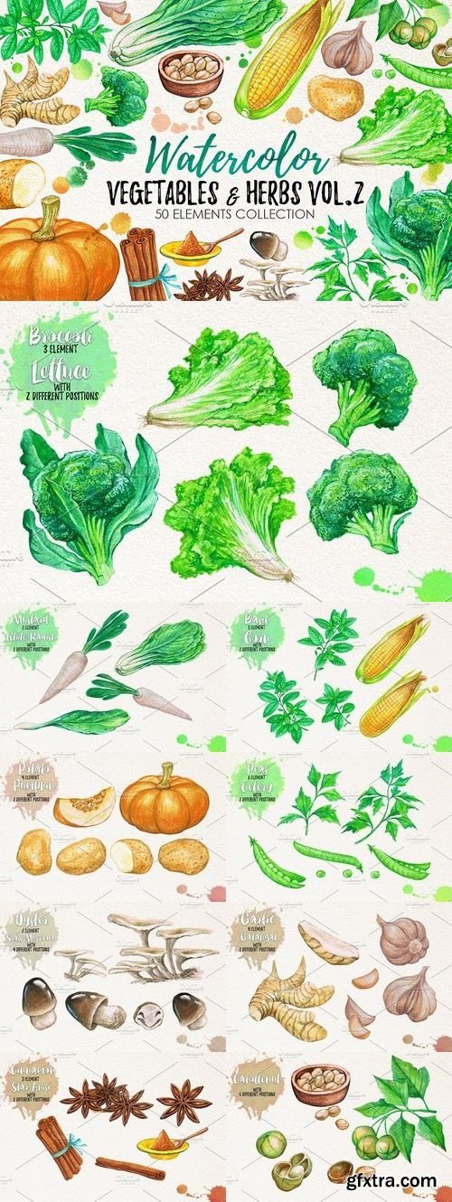 CM - Watercolor Vegetables, Herbs, Green 1110618