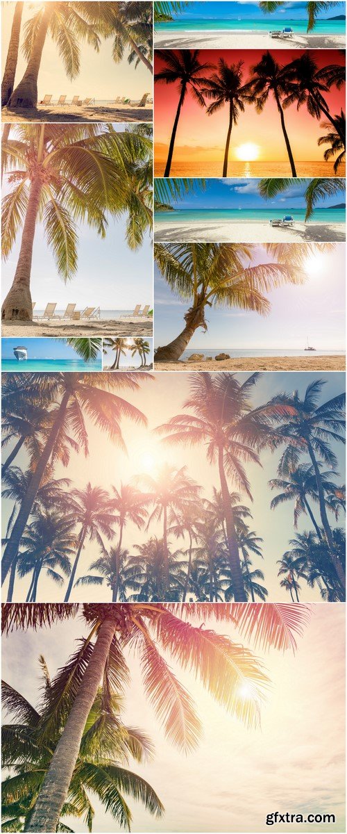 tropical beach palm trees 10X JPEG