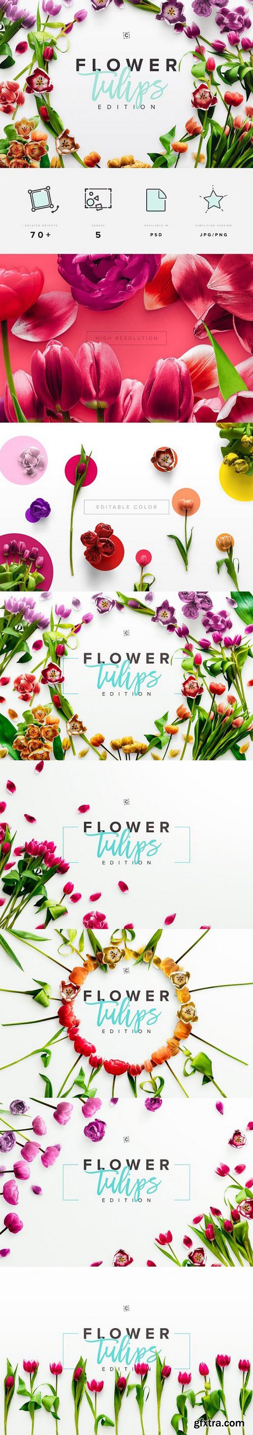 CM - Flower Tulips Edition - Custom Scene 1491275