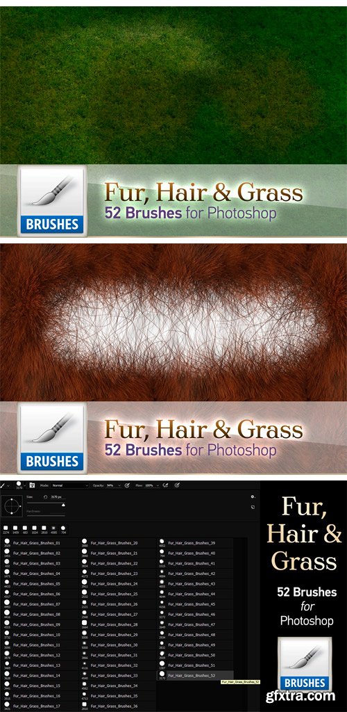 CM 1558188 - Fur, Hair and Grass Brushes