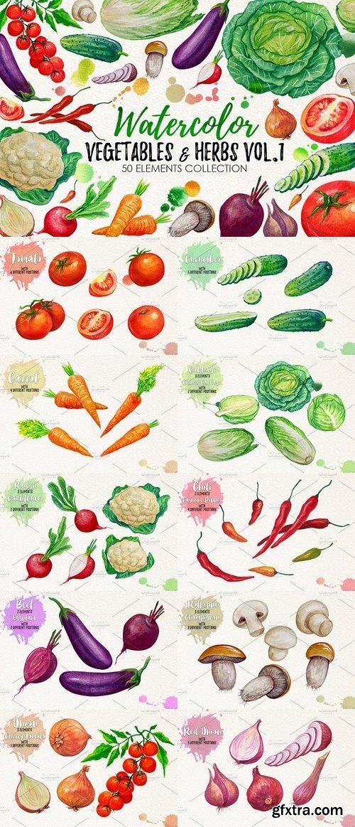 CM - Watercolor Vegetables, Herbs 1069506