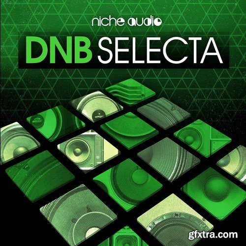 Niche Audio DNB Selecta for NI Maschine 2-SYNTHiC4TE