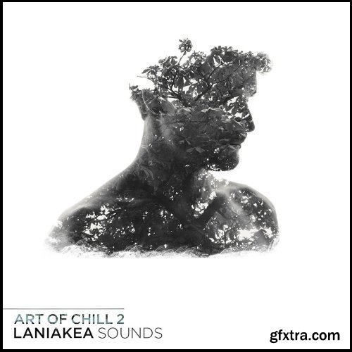 Laniakea Sounds Art Of Chill 2 WAV MiDi SPECTRASONiCS OMNiSPHERE-FANTASTiC