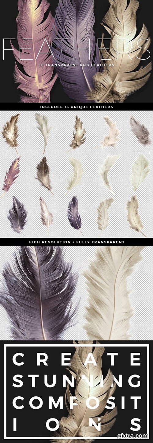 CM - Transparent PNG Feathers Pack 1505546