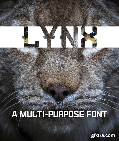 GR - Lynx Multi Purpose Font 20099605