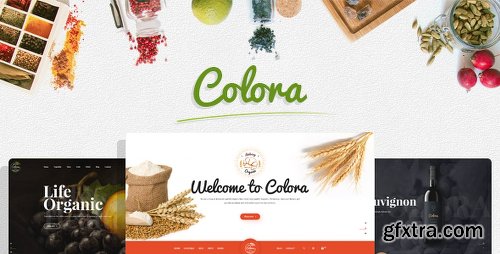 ThemeForest Colora - Organic Responsive Opencart Theme 20176736