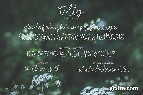 CreativeMarket Tilly A Lovely Font & Bonus Clipart 1568234