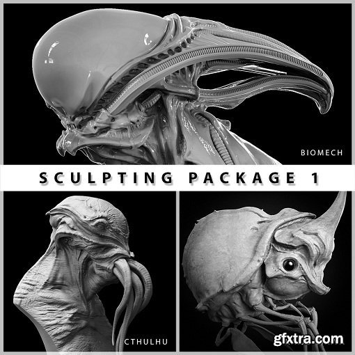 Gumroad - Sculpting Package 1 by Dominic Qwek