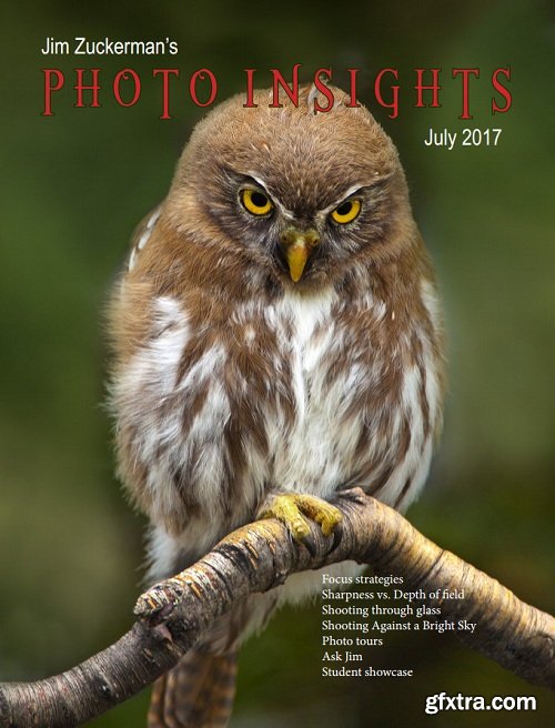 Photo insights - July 2017