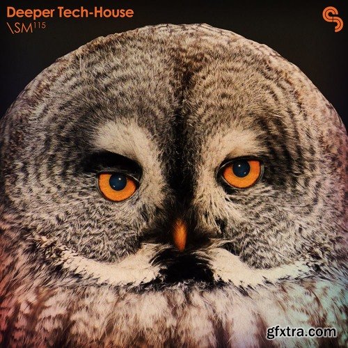 Sample Magic Deeper Tech-House MULTiFORMAT-FANTASTiC