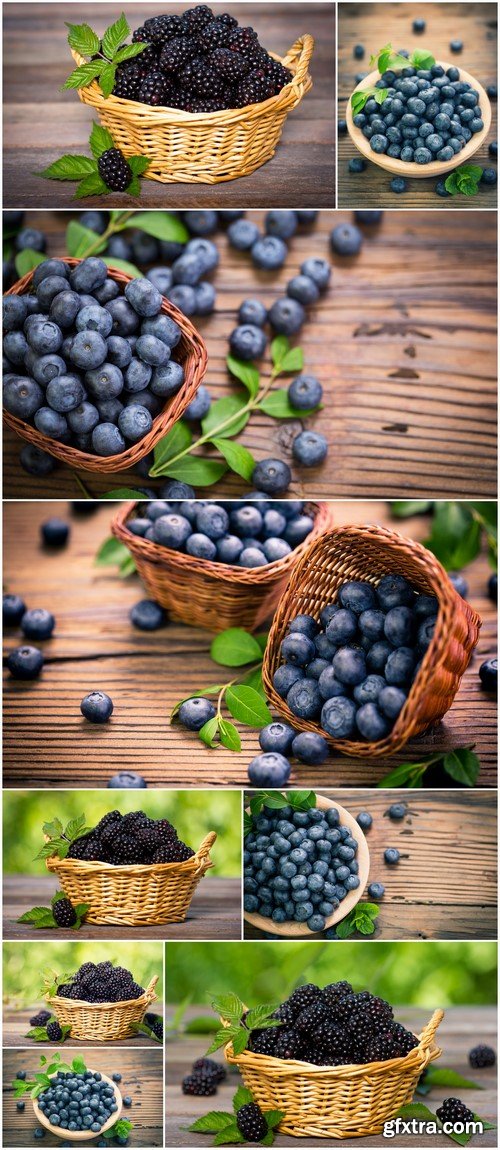 Blueberries and blackberries in a basket closeup 9X JPEG