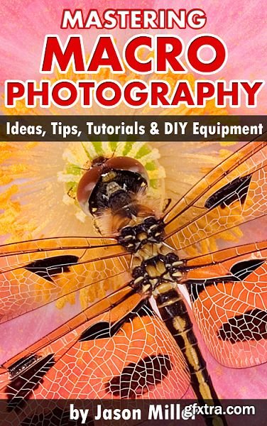 Mastering Macro Photography - Ideas, Tips, Tutorials & DIY Equipment