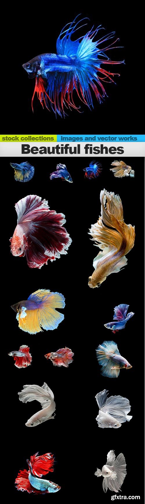 Beautiful fishes, 15 x UHQ JPEG