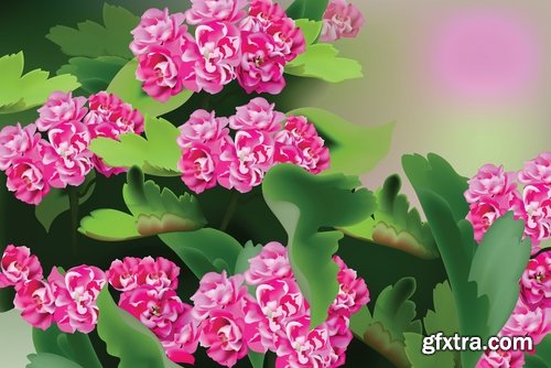 Flower rose background is advertising card card 17 EPS