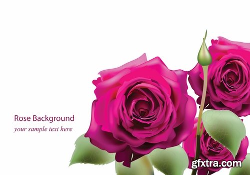 Flower rose background is advertising card card 17 EPS