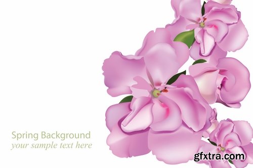 Flower rose background is advertising card card 17 EPS