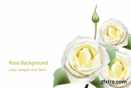 Flower rose background is advertising card card 17 EPS