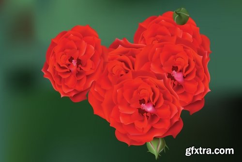 Flower rose background is advertising card card 17 EPS