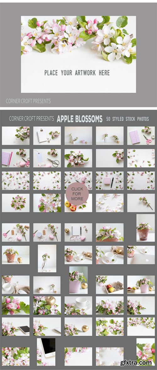 CM 1501809 - Apple Blossom Styled Photo Bundle