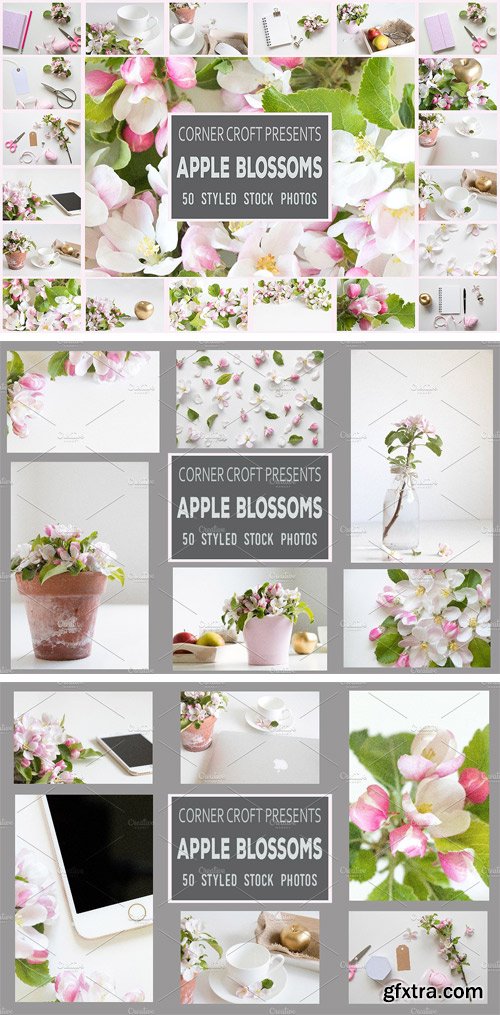 CM 1501809 - Apple Blossom Styled Photo Bundle