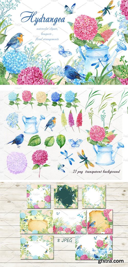 CM 1525629 - Hydrangea Watercolor Clipart