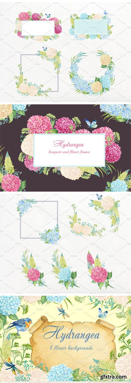 CM 1525629 - Hydrangea Watercolor Clipart