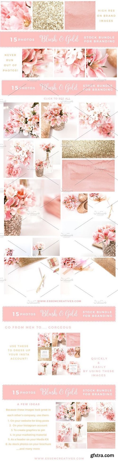 CM - Blush and Gold Stock Photos BUNDLE 1284741