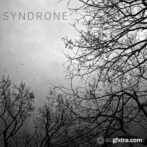 Glitchmachines SYNDRONE WAV-DISCOVER