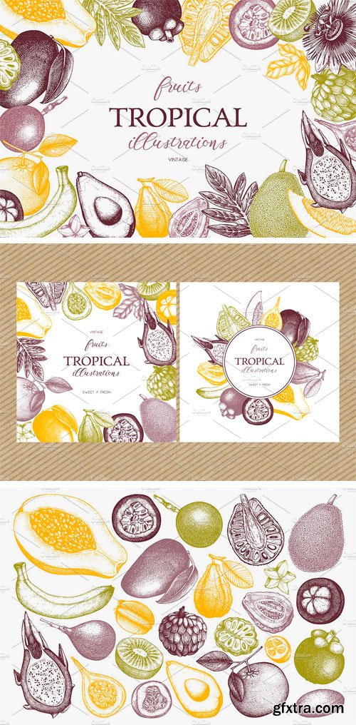 CM 1501322 - Tropical Fruits Collection