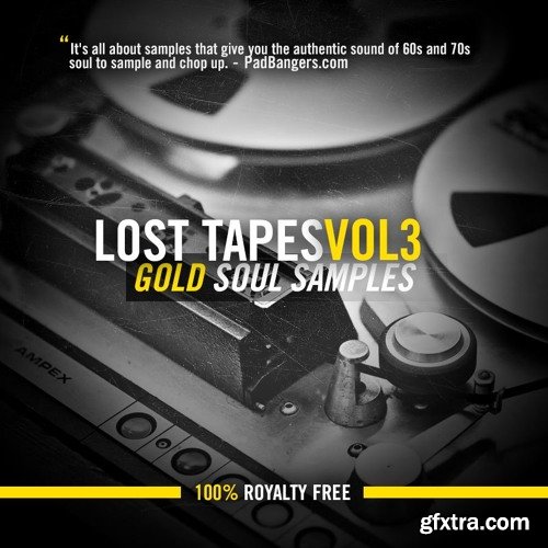 The Producers Choice Lost Tapes Vol 3 Gold Soul Samples WAV-FANTASTiC