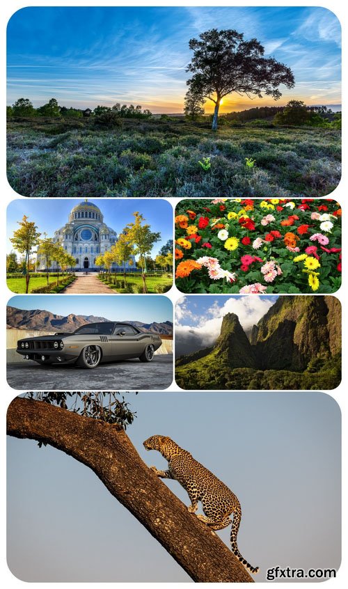 Beautiful Mixed Wallpapers Pack 454