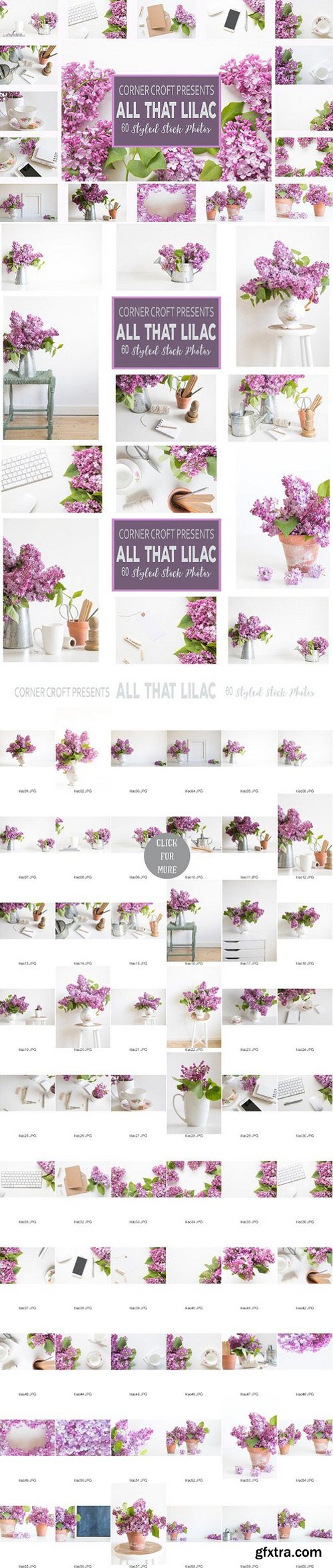 CM - Lilac Styled Stock Photo Bundle 1515999