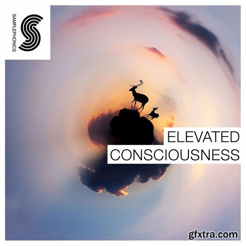 Samplephonics Elevated Consciousness MULTiFORMAT-FANTASTiC