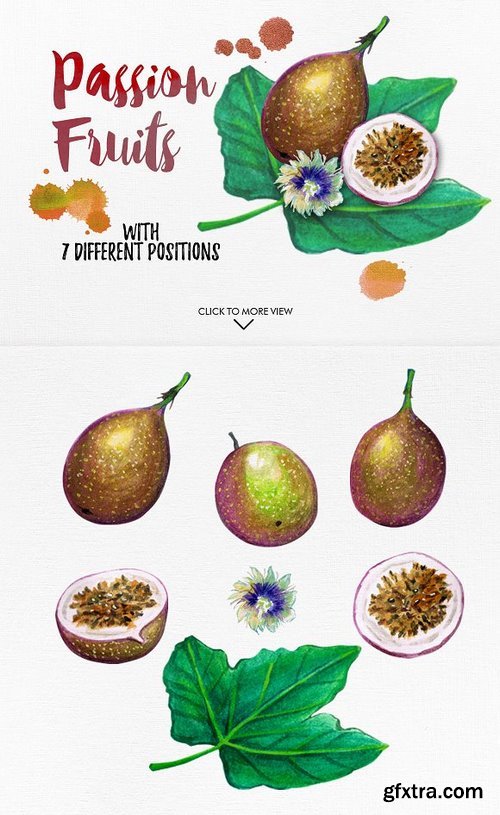 CM - watercolor fruits vol. 6 1024981