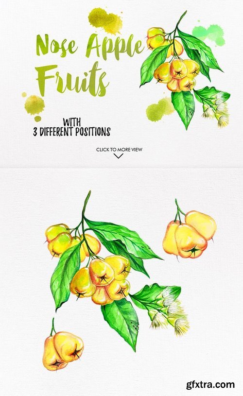 CM - watercolor fruits vol. 6 1024981