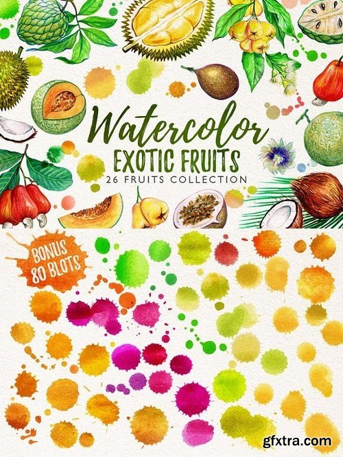 CM - watercolor fruits vol. 6 1024981