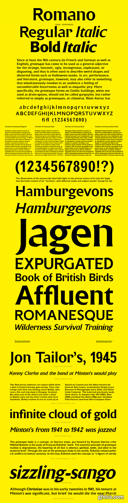 Romano Grotesque Font Family