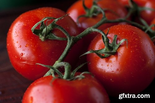 Tomato red vegetable vitamin plant 25 HQ Jpeg