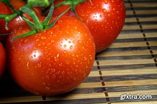 Tomato red vegetable vitamin plant 25 HQ Jpeg