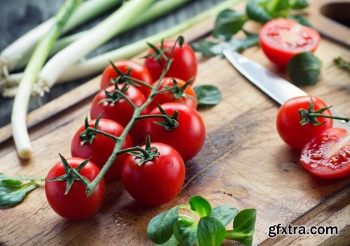 Tomato red vegetable vitamin plant 25 HQ Jpeg