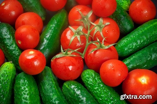 Tomato red vegetable vitamin plant 25 HQ Jpeg